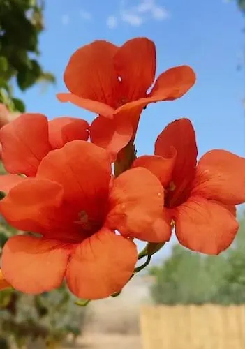 Garden House * 나플리오